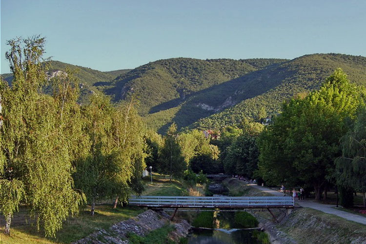 Banjica
