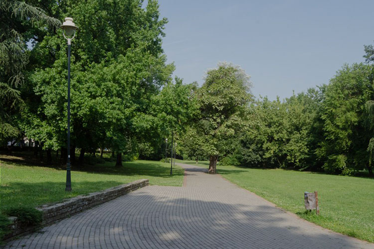 Futoški Park