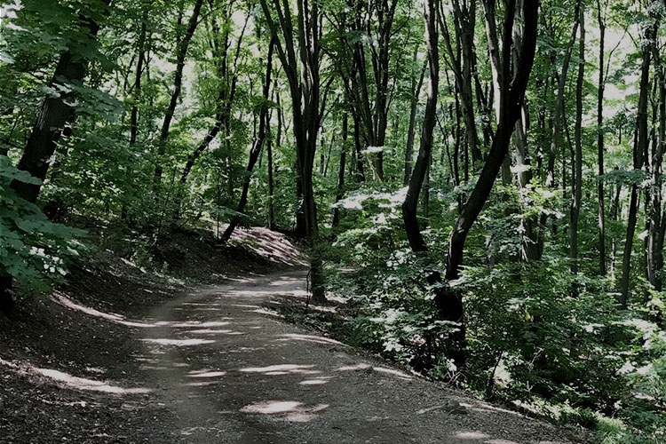 Kosutnjak Hill