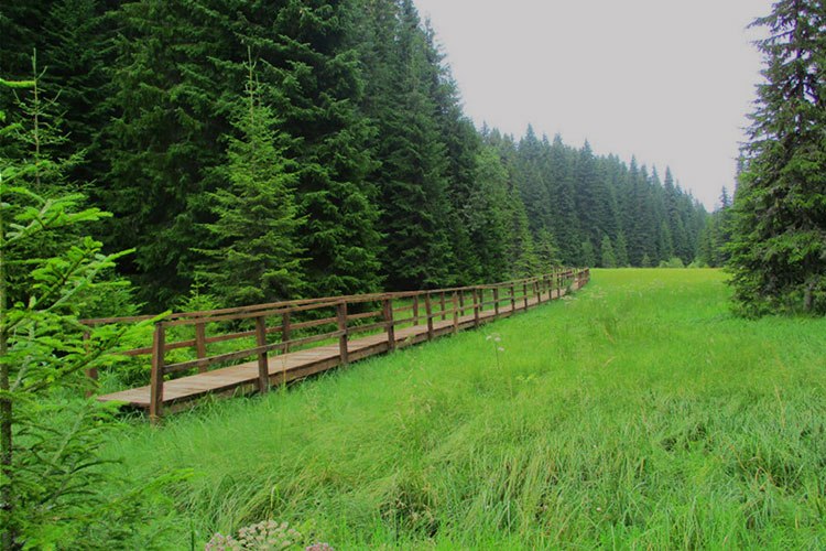 National Park Kopaonik