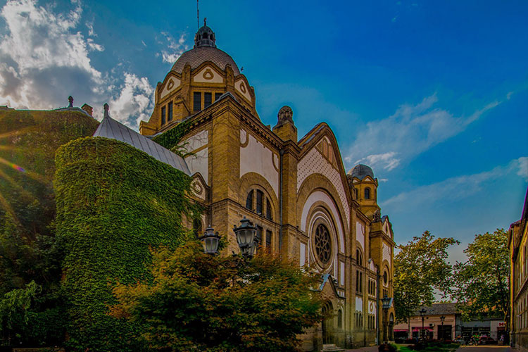 The Synagogue