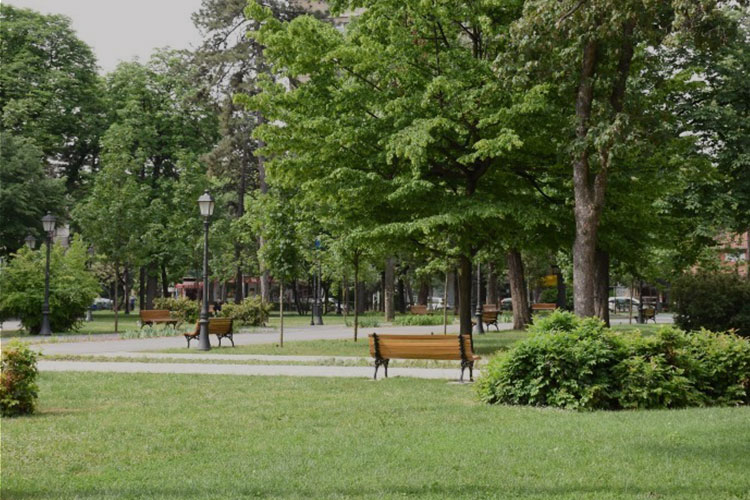 Zemunski Park