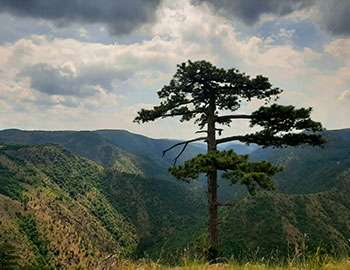 Landmarks Zlatibor